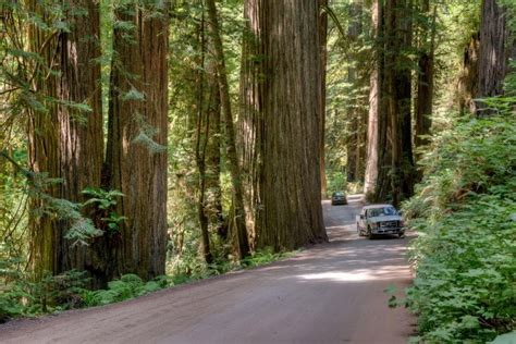 The 10 Mile Scenic Drive In Northern California You Will Want To Take