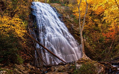 Crabtree Falls Trees Waterfall Autumn Nature Hd Wallpaper Peakpx