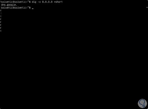 Comando Dig Linux Opciones Y Ejemplos Dns Solvetic