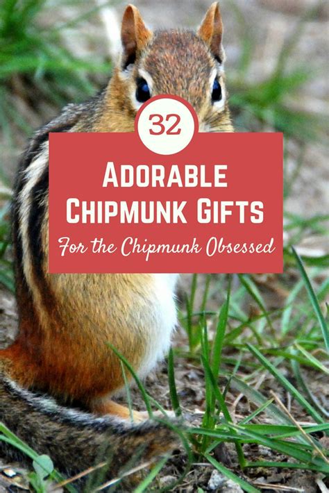 These 32 Chipmunk Ts Are For People Who Really Love Chipmunks These