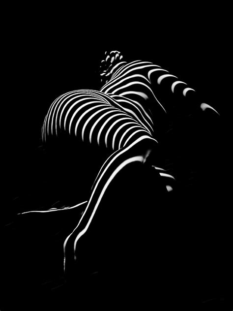 0773 Ar Striped Zebra Woman Side View Abstract Black And White