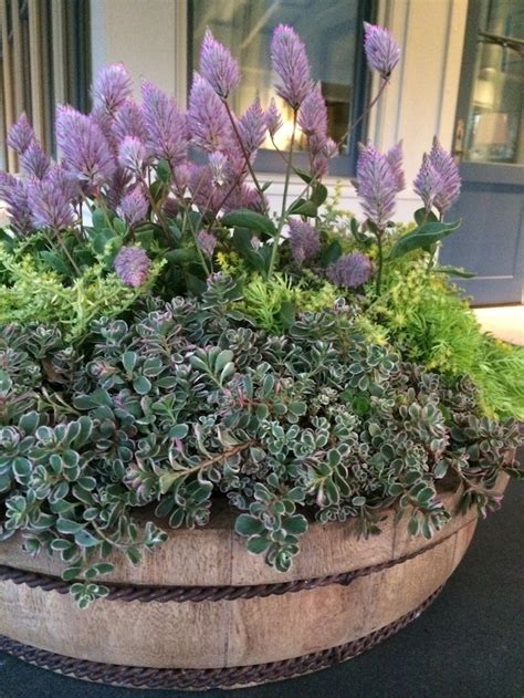 28 Container Gardens For Spring Day 27 Carmen Johnston