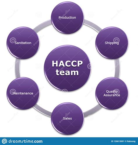 Haccp Team Mangaement Person Concern Stock Illustration Illustration