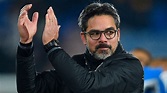 Trainer David Wagner ist Hoffnungsträger bei Schalke 04 | Bundesliga