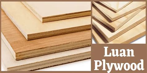 What Is Luan Plywood Benefits Uses And Alternatives