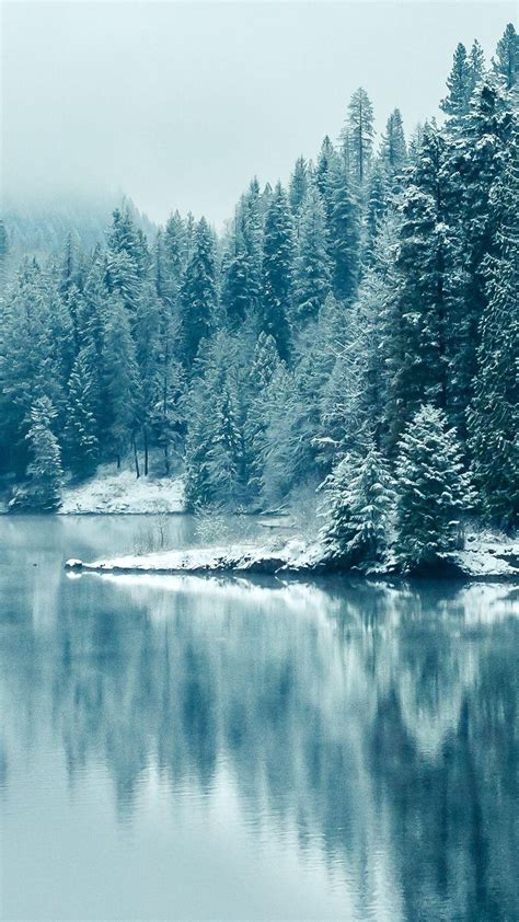 Turquoise Pine Forest Lake Snow Iphone Wallpapers Pinterest Pine
