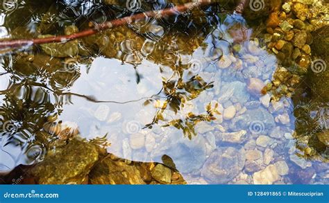 Nature And Its Beauty Stock Image Image Of Beautiful 128491865