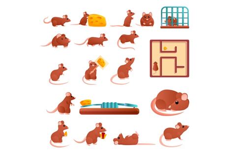 Rat Icons Set Cartoon Style