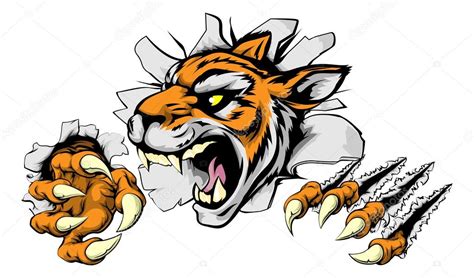 Angry Tiger Sports Mascot — Stock Vector © Krisdog 80530460