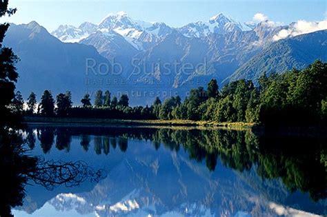 Morning Reflection On Lake Matheson Mount Mt Cook