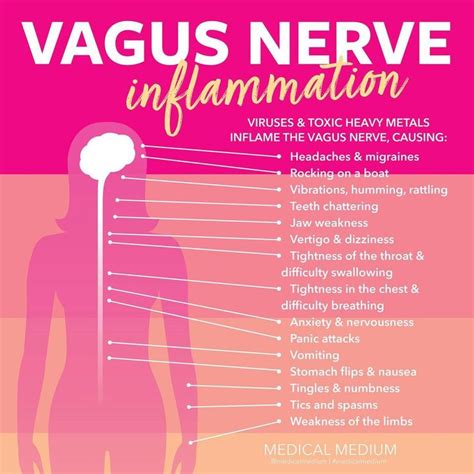 Medical Medium® On Instagram “vagus Nerve Inflammation Symptoms There