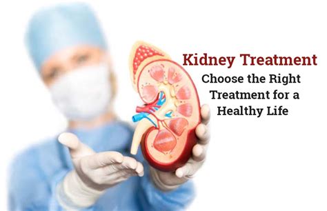 Kidney Treatment Choose The Right Treatment For A Healthy Life