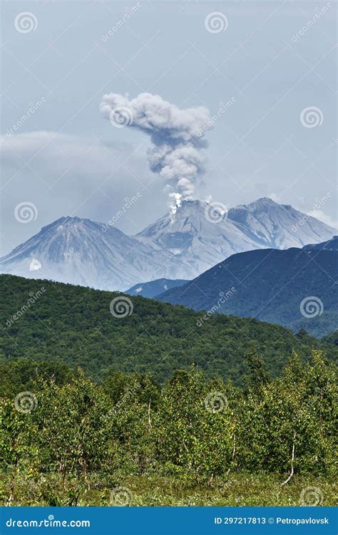 Nature Of Kamchatka Eruption Active Zhupanovsky Volcano Stock Image