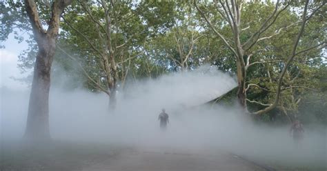 Ethereal Fog Sculptures Are Rolling Through Bostons Parks