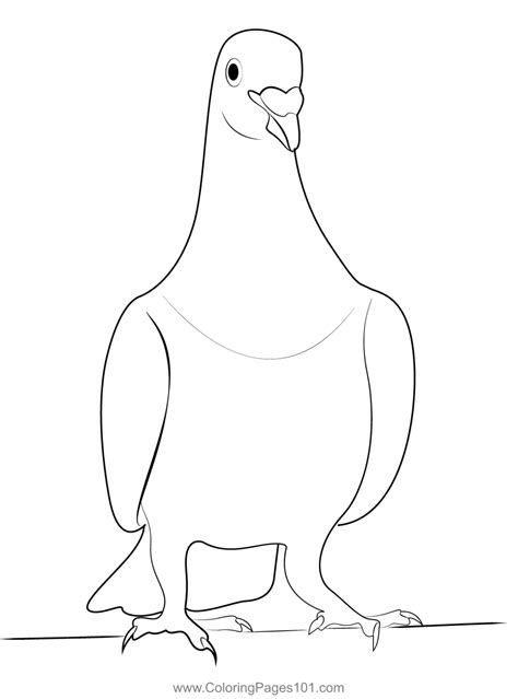 Relax Pigeon Coloring Page For Kids Free Pigeons And Doves Printable