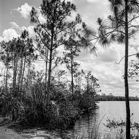 Everglades Lake 041901 Photograph By Rudy Umans Fine Art America