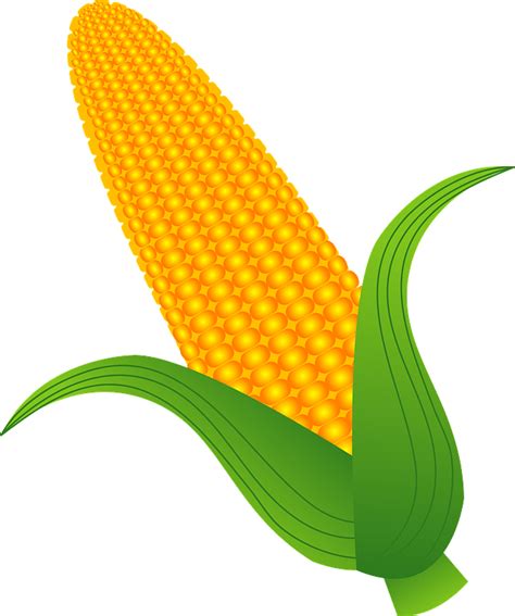 Corn Vegetable Clipart Illustration Png Download Full Size