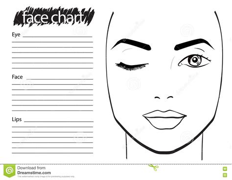 Face Chart Makeup Artist Blank Stock Illustration Illustration Of