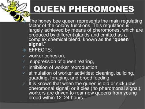 Honey Bee Pheromones