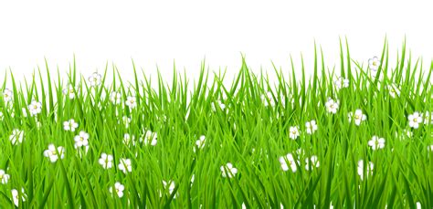 Free Grass Clipart Png Download Free Grass Clipart Png Png Images Images