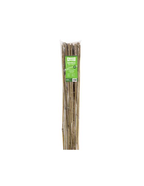 Tuteur Bamboo 90 Cm X 25 Unités