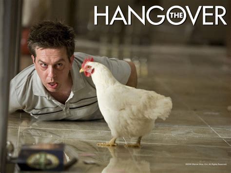 Funny Hangover Quotes From Movies Quotesgram