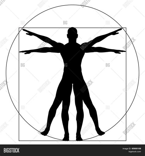 Vitruvian Human Or Man As A Concept Metaphor Conceptual 3d Proportion
