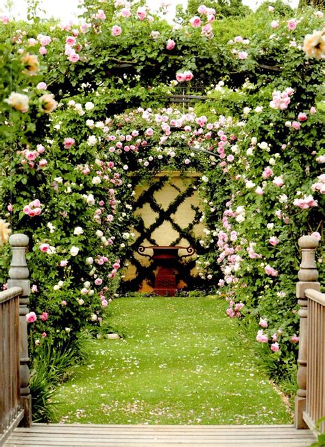Arch Of Flowers Garden Inspiration Flower Garden Garden Arch