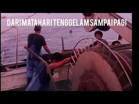 Begini Cara Kerja Dilaut Kapal Pureshine Ikan Teri Taiwan Penghu YouTube