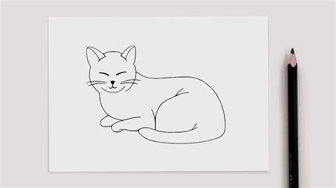 ⭐️ Como Dibujar Un Gato Paso A Paso Youtube