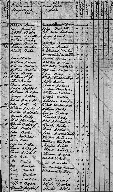 Amelia 1790 Tax List