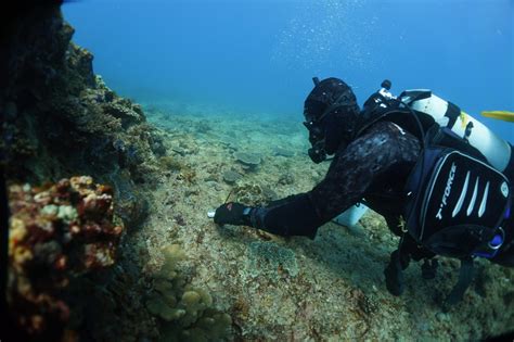 Diving Deep Into The Shallow Reefs Of Ningaloo Reef Csiroscope