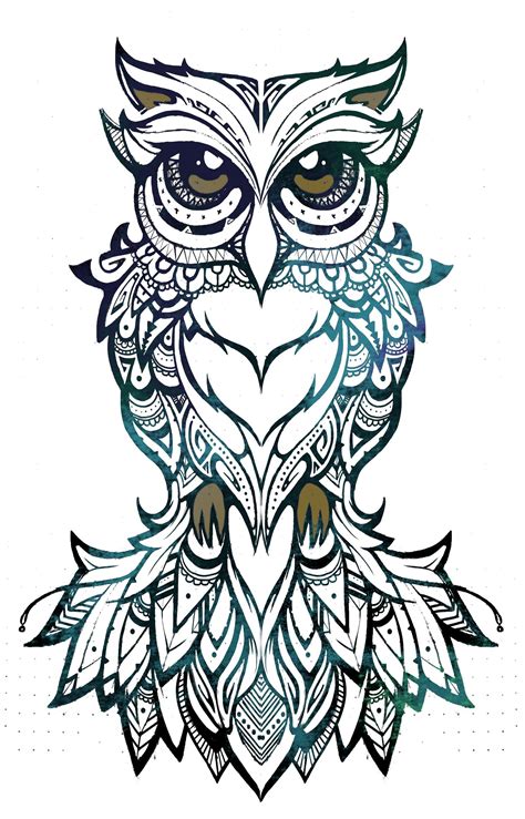 Pin By Meagan Bielski On Owl Tattoos Owl Tattoo Design Owls Drawing