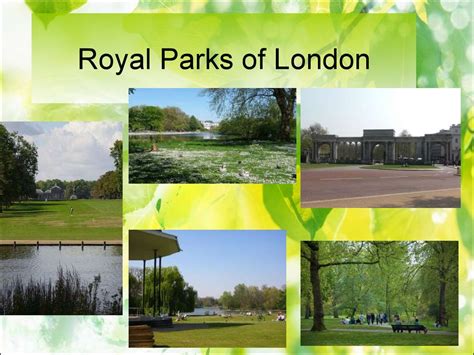 Royal Parks Of London Online Presentation