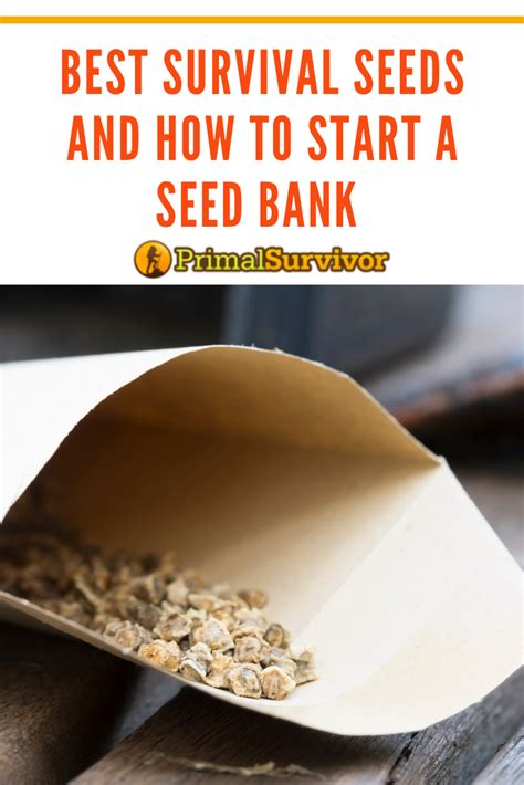 Storing seeds for the long term. Advantage Of Storing Seeds In Seed Banks / Advantage Of ...