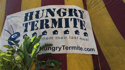 Gallery Hungry Termite