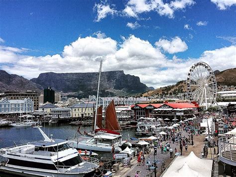 8 Things You Need To See In Cape Town South Africa