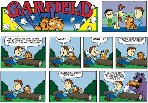 A Comic Strip About Garfield The Cat