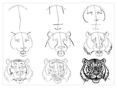 Image Result For How To Draw A Tiger Face Step By Step Beautiful