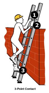 Wade Basket Hospital Safest Way To Climb A Ladder Hymn Movies There Is