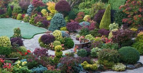 Conifer Garden Style Pines Cedars And Companion Plants Plants