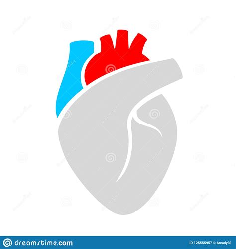 Heart Organ Vector Icon Stock Vector Illustration Of Icons 125555957
