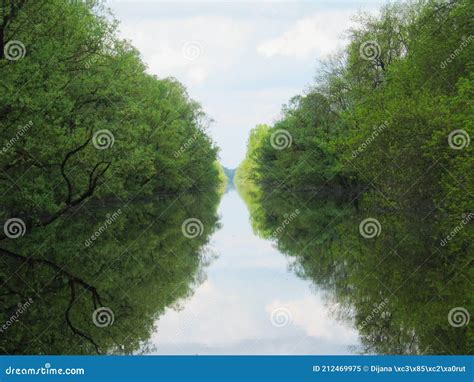 A Reflection Of The Trees Along The River Stock Image Image Of Polje