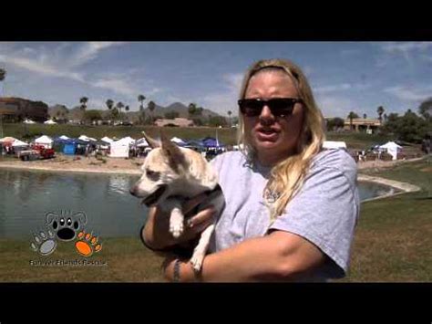 Discourages annoying habits like cat spraying and dogs mounting and marking. Dog Rescue Volunteer Gilbert Az - WCFV Arizona