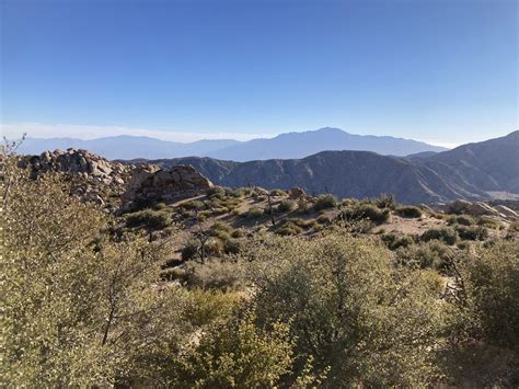 San Bernardino Mountains Desert Peaks East Hikers Blog