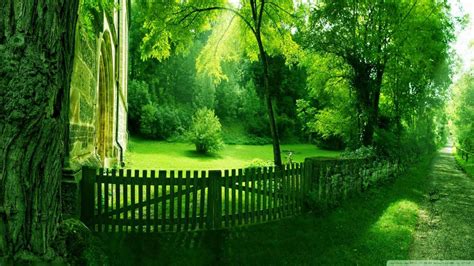 Green Nature Wallpapers Top Free Green Nature Backgrounds