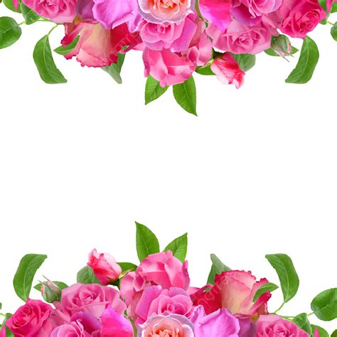 Pink Flowers Frame Vector Art Png Pink Flower Set Frame Watercolor