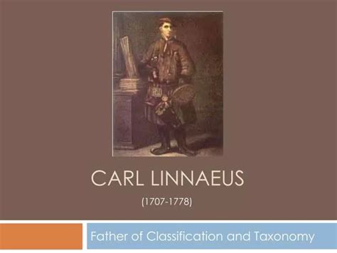 Ppt Carl Linnaeus Powerpoint Presentation Free Download Id5238953