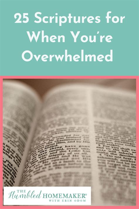 25 Scriptures For When Youre Feeling Overwhelmed