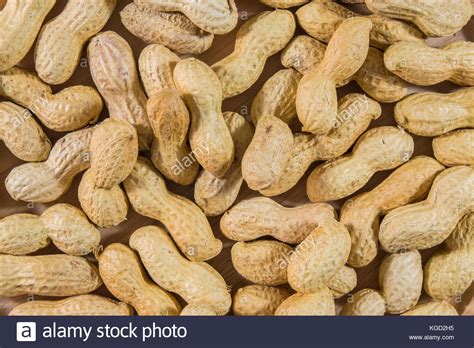 Groundnut Oil High Resolution Stock Photography And Images Alamy